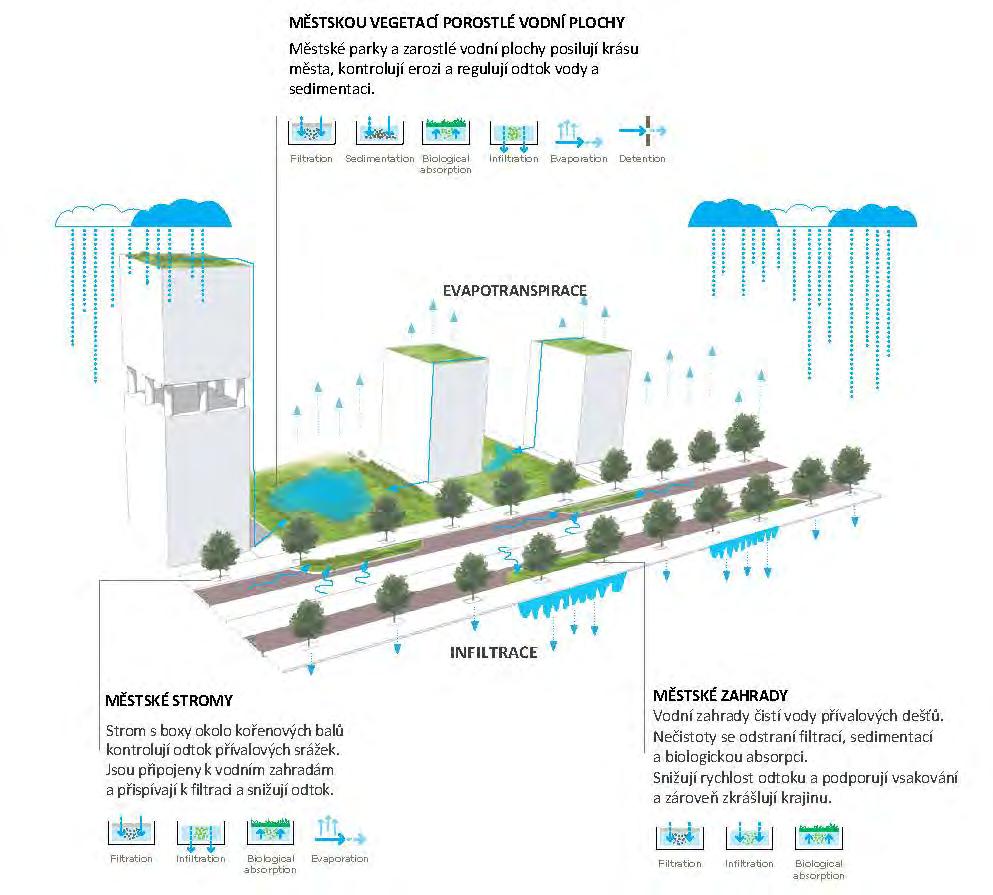 ŘEŠENÍ MODROZELENÉ INFRASTRUKTURY NA RŮZNÝCH ÚROVNÍCH VEŘEJNÁ PROSTRANSTVÍ UVNITŘ MĚSTSKÉ ČTVRTI V PROSTORU MEZI BUDOVAMI musí být poskytnut k zadržování srážkové vody v zarostlých