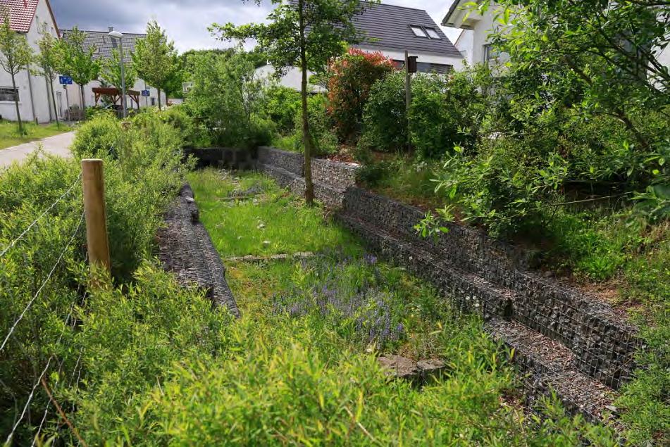 Proces se skládá z povodí, přepravy, filtrace a sedimentace, čištění (biologickou absorpcí) a nakonec distribuce čisté