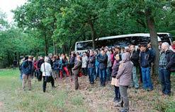 Plakát v panelové diskuzi na 16. specializované konferenci stavebněhistorického průzkumu Svorník 2017 Hrady a tvrze v širších souvislostech, Kroměříž 20. 23. 6. 2017. RAZÍM, Vladislav: Péče o torzální architekturu hradní zříceniny a městská opevnění.