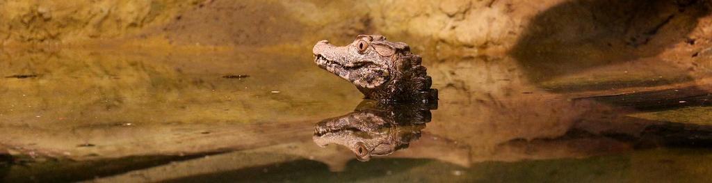 Akvárium, číslo 44 e-akvarium.