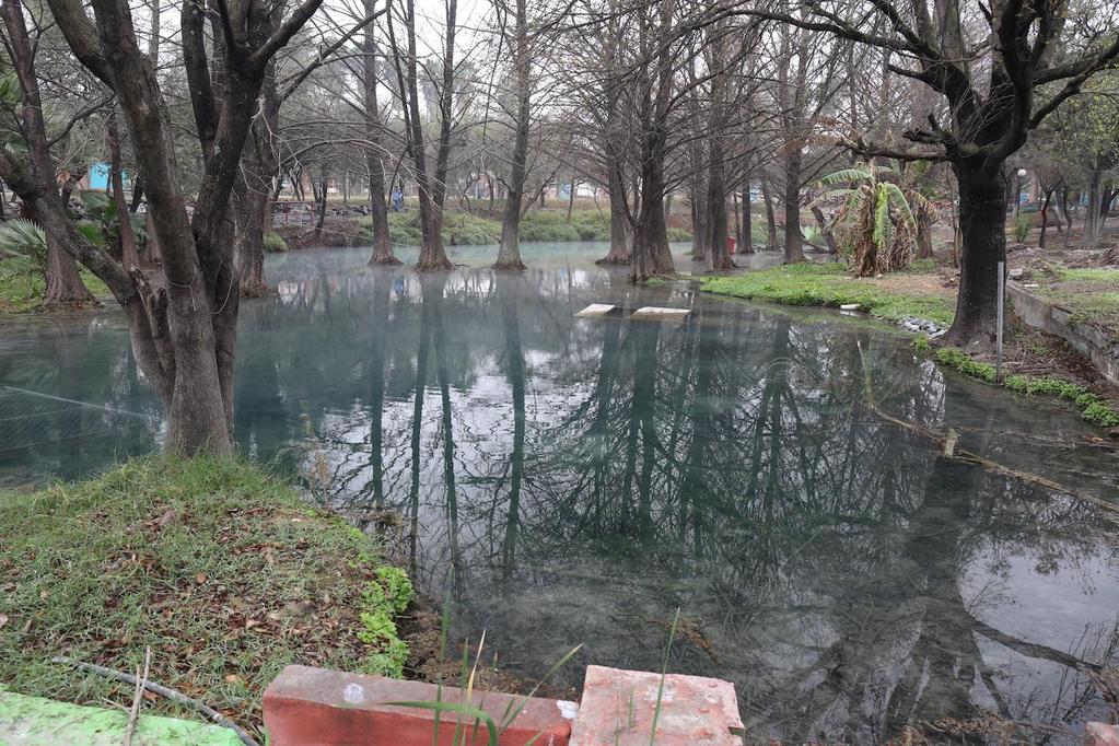 stěny. Na (rovněž betonových) mělčinách se pasou tilápie.