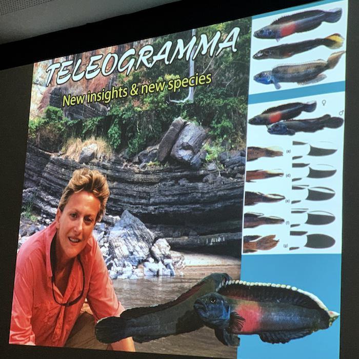 se týkala rodu Teleogramma a novinek ohledně těchto zajímavých cichlid. Melanie se již dvanáct let zaměřuje na průzkum dolního toku řeky Kongo přibližně od Malebo až po Atlantský oceán.