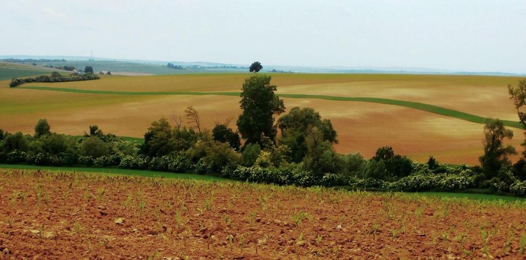 i povinnost řešit tuto problematiku pomocí protierozní kalkulačky či v extrémních případech dělením půdních bloků.