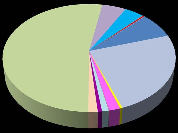 Počet osob pitvaných na odděleních soudního lékařství podle bezprostřední příčiny úmrtí IX. 53% X. 5% XI. 4% XII. 0% XIII. 0% XIV. 0% XV. 0% XVI. 0% XVII. XVIII. 8% 0% XIX. 24% VIII. 0% VII. 0% VI. 2% V.