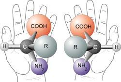 onfiguration Two kinds of isomers to consider Stereoisomers: substituents differ in placement