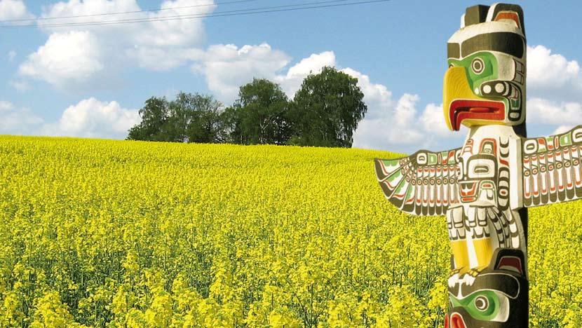 Ř E P K A O Z I M Á 110 Průměrný výnos semene a oleje (%) ÚKZÚZ 2008-2010 110 Semeno Olej 106 107 102 98 94 90 Totem Ladoga* Labrador* Californium* odrůda typu linie rok registrace: 2009 Francie,