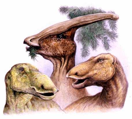 Nádory se vyskytovaly již u dinosaurů Vyšetřením více než 10 000 vzorků byly nádory nalezeny u Cretaceous hadrosaurs.