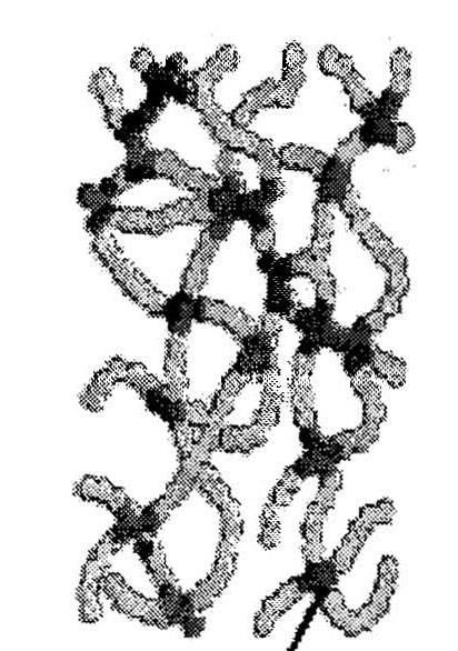 2.3.3 Elastomery Elastomery jsou zesíťované látky, které se rychle vracejí do původního tvaru a původních rozměrů, jaké měly před deformací. Strukturu elastomerů můžeme vidět na obr. 10.