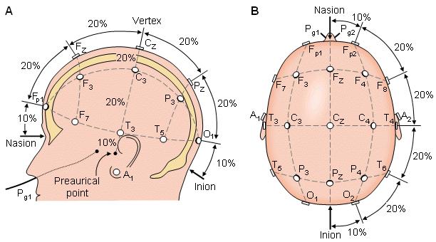 Zdroje jednotlivé neurony pohyb AP po axonech Principy EEG + složitá struktura mozku