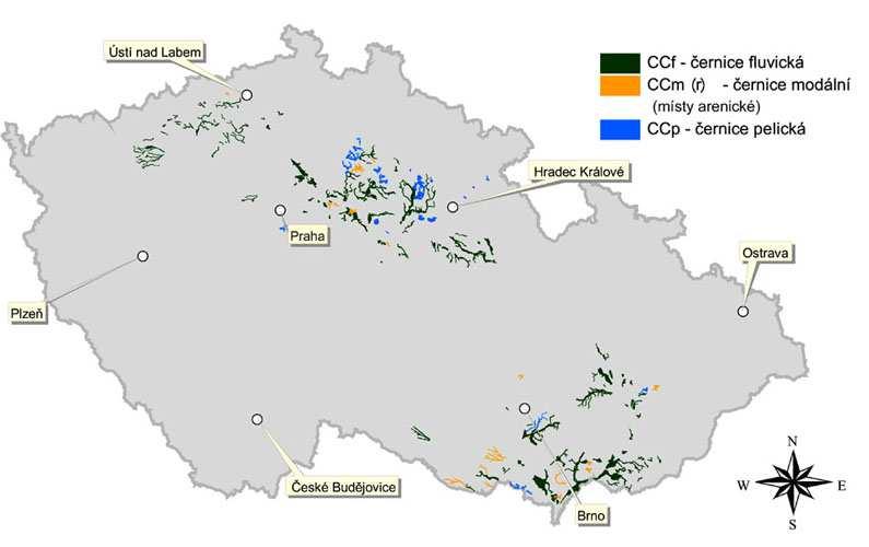 Černice půdy semihydroformní s modulárním černickým horizontem Acn větším než 0,3 m. Vznikly v černozemní oblasti ze sorpčně nasycených těžších substrátů.