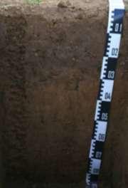 13,4 C)** Průměrné roční srážky: 545 mm (veg.