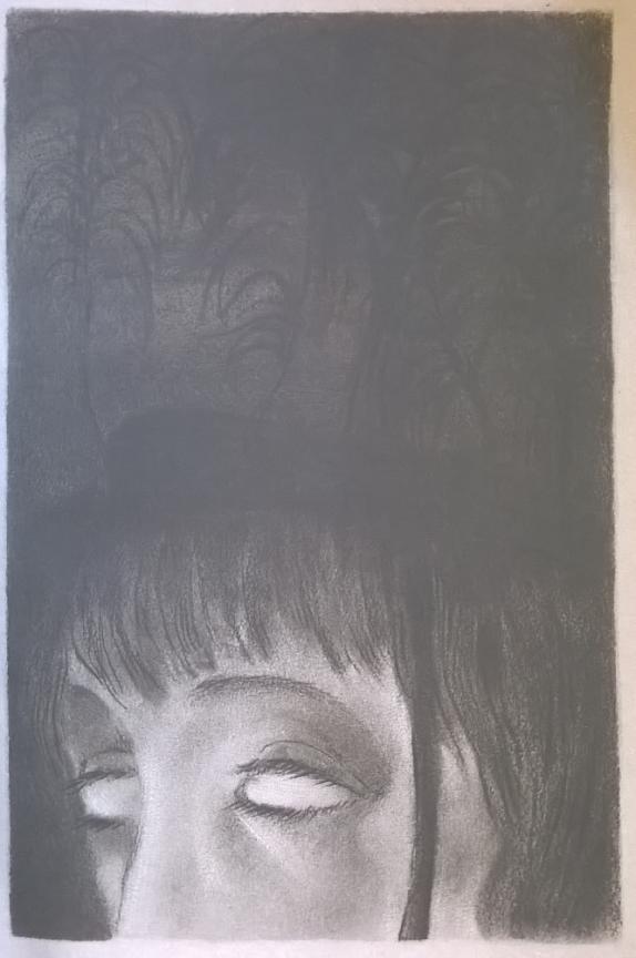 ilustrací k