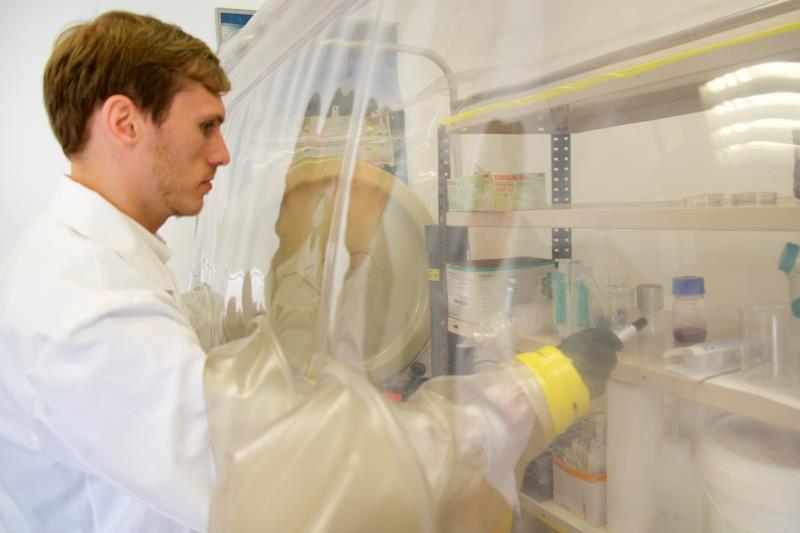 (sauerstoffarme Atmosphäre) Kultivierung in Inkubatoren (bis 100 C) Sicherheitswerkbank für sterilearbeiten Fluoreszenzmikroskopische