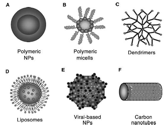 zlepšení biologické dostupnosti léku umožnění cílového podání léku snížení toxických vedlejších účinků léku nabízí vhodnou formu pro všechny cesty podání [13] 6.3 Typy nanočástic Obr.