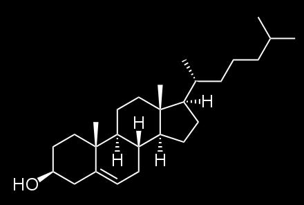 také přítomen ve větším množství a tvoří tak 25 % zásob celkového cholesterolu lidského těla (Dietschy a Turley, 2004).