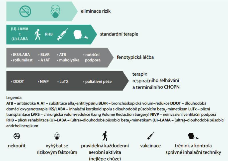 Základní diagnostická kritéria, doporučené sledování komorbidit, hlavní léčebné cíle a obecná podpora používání dlouhodobě působících bronchodilatancií jako elementární komponenty dlouhodobé