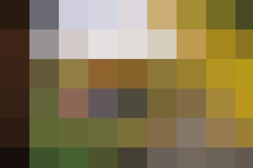 velikosti původního vzorku změna počtu pixelů snížení rozlišení obrazu z více