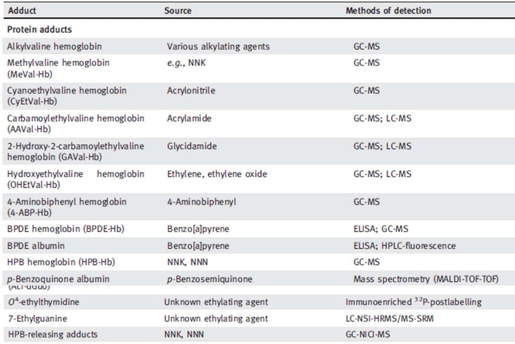 3) Proteinové adukty jako biomarkery Adukty vznikající v
