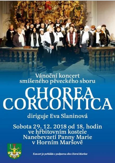 Vánoční koncert Horní