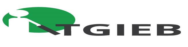 FAKTURUJTE A ŘEŠTE PLATBY KARTOU. BEZ ZÁBRAN, BEZ ZRAKU Karel GIEBISCH www.itgieb.cz, info@itgieb.