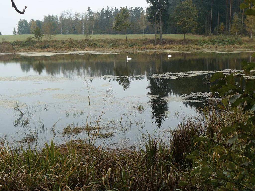Jindřichův Hradec IČO 266 50 762 Plán