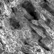 60 %) in the whole range of the studied temperatures, at temperatures above ca 1130 C no plasticity already occurs.