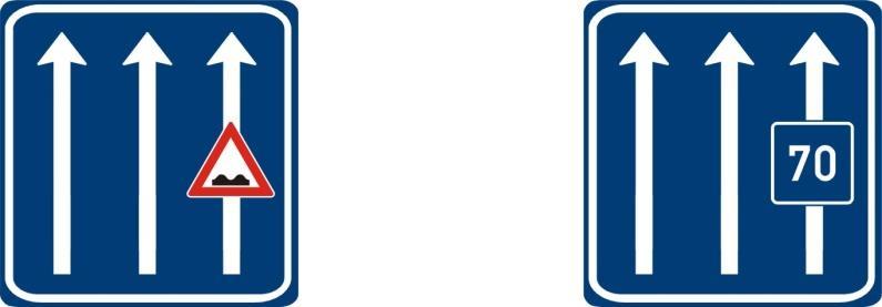 Vyhrazený pruh lze vyznačit i pro jiný druh vozidla nebo k určitému účelu. V takovém případě se v modrém poli vyznačuje příslušný symbol vozidla nebo vhodný stručný nápis (např. TAXI ).