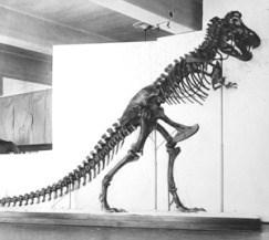 teorií - T-Rex: monstrum (lovec) vs.