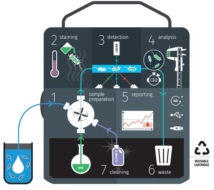 12 Postup analýzy 1) Odběr vzorku (on-line nebo manuálně) 2) Obarvení buněk a inkubace při 37 C 3) Průtoková cytometrie laserový zdroj světla 488 nm fluorescenční detektor 525 nm