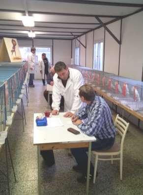 klece 145 isabela Pecka Josef č. klece 165 žlutý čapík Pecka Josef č. klece 193 červený Veselý Alexandr č. klece 53 žlutý Fila Marek č.