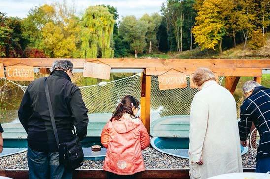 Oskar Kuptík Libeň/Holešovice Na holešovické straně je stavba už podepřená. Pokud jde o varianty opravy, doba trvání je dva až tři roky a ceny jsou odhadovány od 600 milionů korun výše.