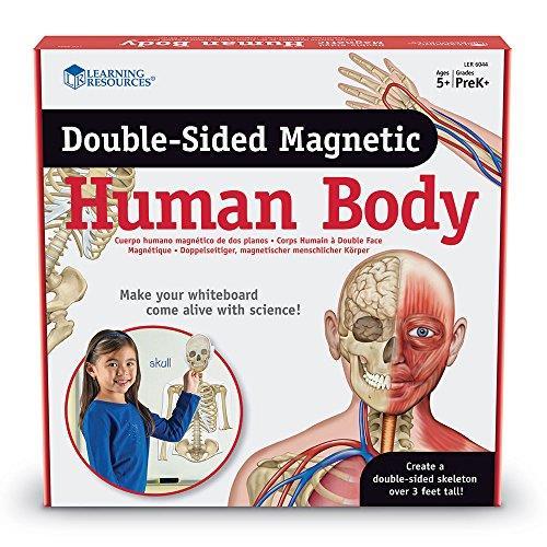 HUMAN BODY Magnetický lidský organismus - vytvoří