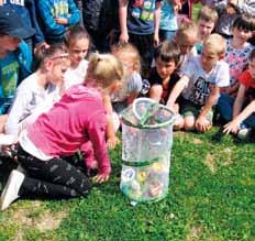 Za všechny úspěchy vyjmenujme postup tří žákyň T. Vomáčkové, L. Popelkové a M. Zavoralové Chováme motýly do celostátního finále soutěže Hledáme nejlepšího mladého chemika ČR, konané v Pardubicích.