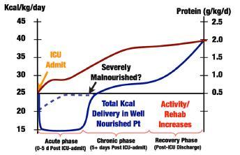 anabolická strategie v průběhu kritického stavu a uzdravování v akutní fázi