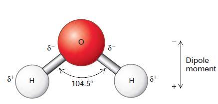 Covalent Bonds Are Much Stronger and