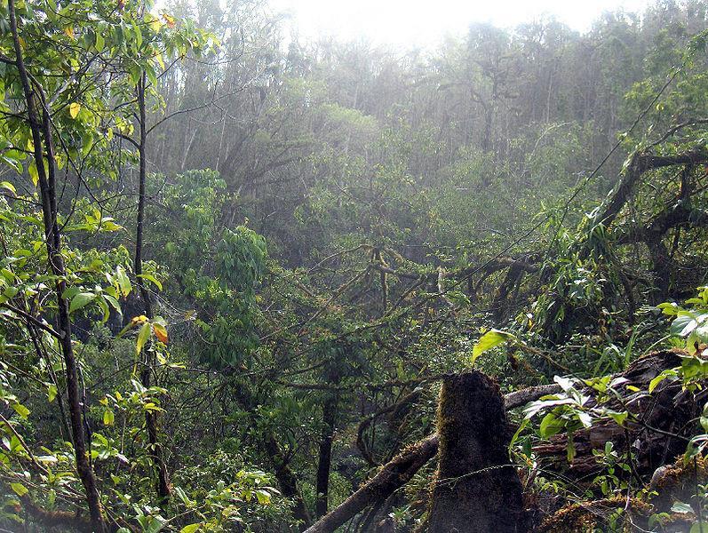 Podnebí Na základě znalostí o všeobecné cirkulaci atmosféry a o povrchu Austrálie se pokus s pomocí mapy mořských proudů odhadnout průběh klimatu napříč australským kontinentem.