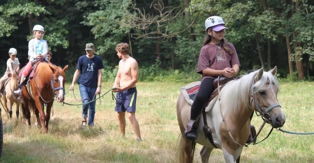 cz Den v sedle Ponyty v rámci tábora: sport i relaxace Jsme potěšeni, že se setkání dětí s koňmi (letos