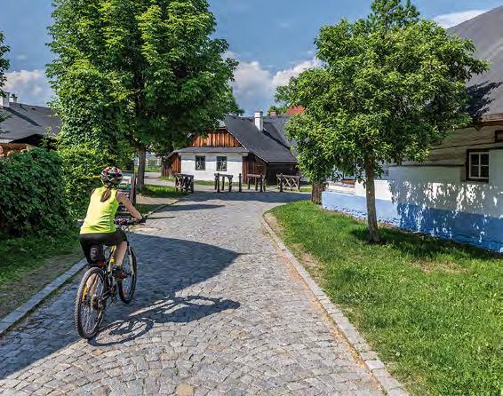 Nasavrky Švihov Miřetice Dachov Ležáky Včelákov Kameničky Trhová Kamenice Srní Svobodné Hamry ZPÁTKY 3. KE KOŘENŮM Délka 41,5 km Náročnost: Místo, kde dostanete razítko: Cyklopůjčovna.