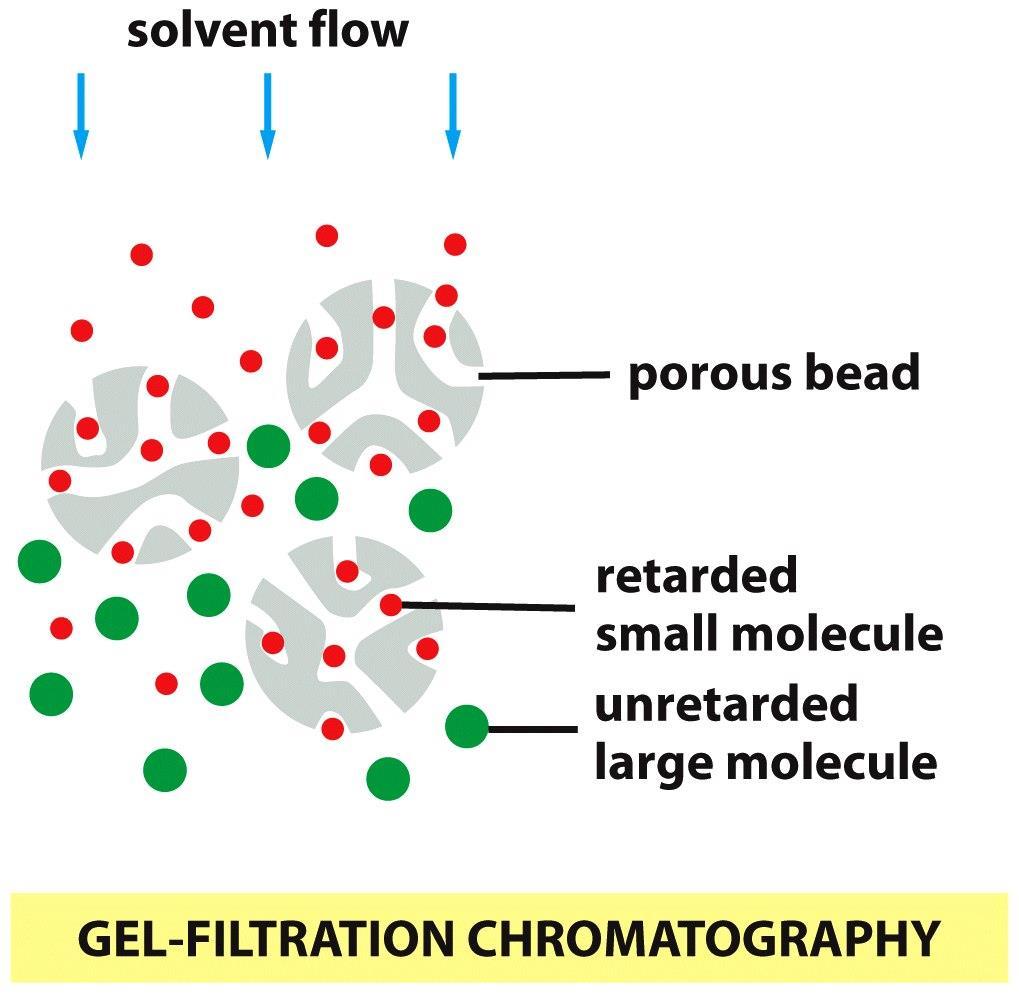 Figure 8-13b Molecular Biology