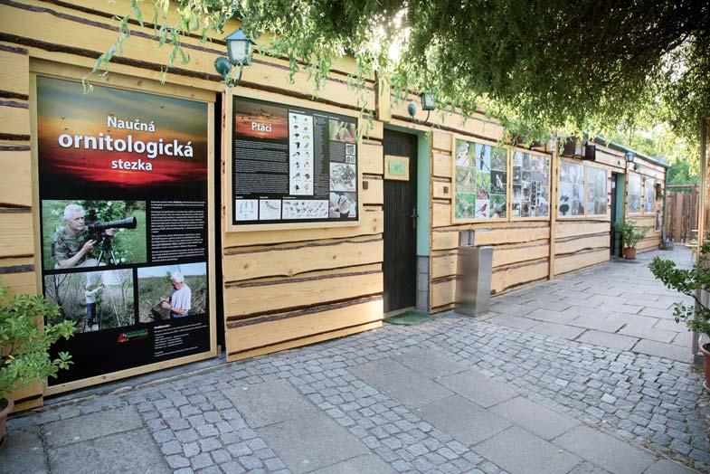 Rozvoj zoo Již koncem roku 2016 se připravovaly expozice pro nejmenší papoušky papoušíčky (Forpus). V roce 2017 došlo k rozšíření chovu původních dvou párů na sedm v pěti druzích.