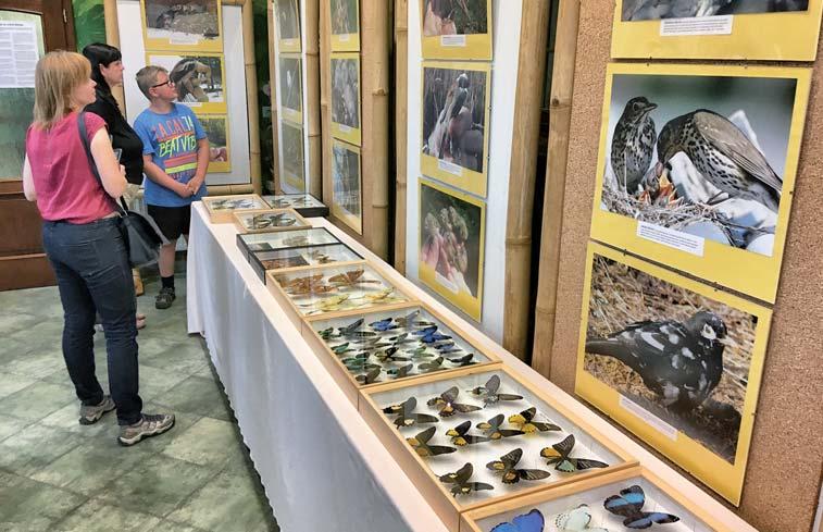 Výstava tropických motýlů a fotografií našeho ptactva Akce v roce 2017 První akcí v roce 2017 byla přednáška, tentokrát Mgr. Elišky Rubešové, pod názvem Holandsko království květin.