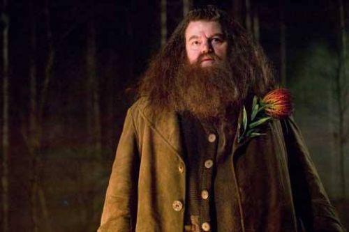 NEJZNÁMĚJŠÍ POSTAVY Z ROMÁNOVÉ SÁGY O HARRY POTTEROVI Díl devátý: Rubeus Hagrid Rubeus Hagrid Obrovitý Hagrid je napůl kouzelník a napůl obr s dlouhými vlasy a velikým hustým plnovousem.