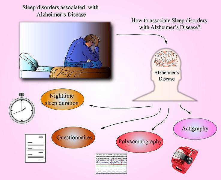 Monitorace cirkadiánního rytmu bdění - spánek Subjektivní metody spánkový deník, spánkové dotazníky (PSQI), u pacientů s demencí od blízké