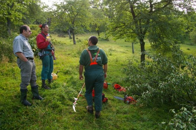 Terénní botaniku a zoologii Rozsáhlejší dendrologická hodnocení Rozsáhlejší