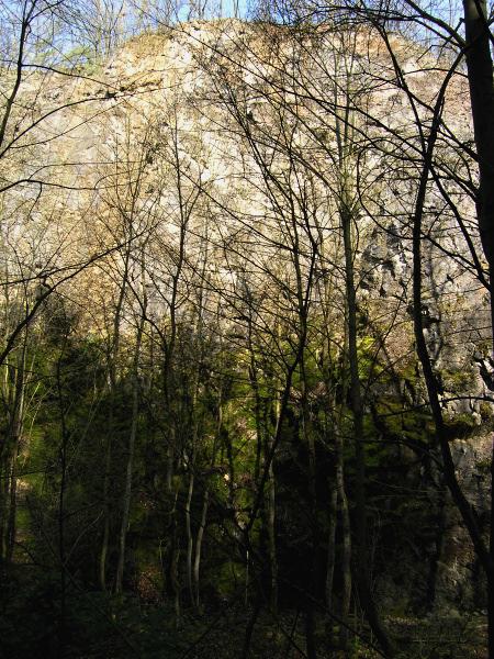 Juřičková. Fotografii č. 9 pořídila Jitka Horáčková.