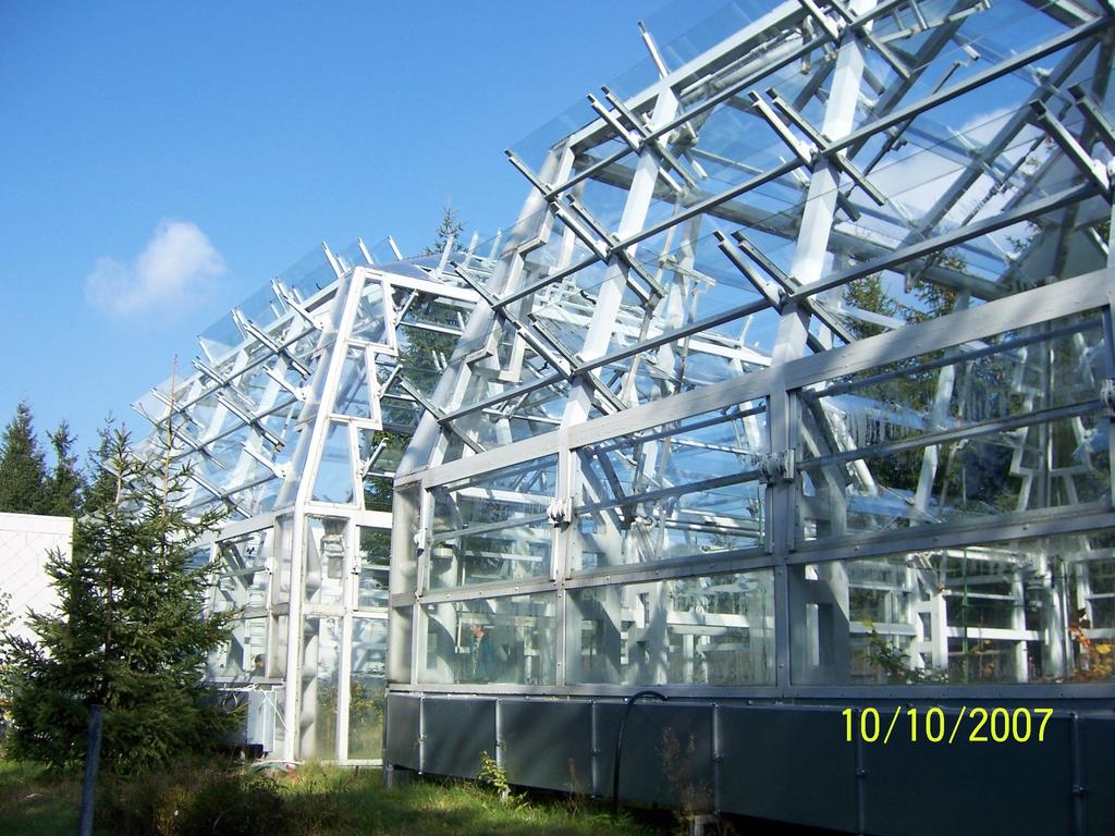 3. EXPERIMENTÁLNÍ ČÁST 3.1 Materiál Vliv zvýšené koncentrace CO 2 na množství a aktivitu enzymu Rubisco byl sledován u buku lesního (Fagus sylvatica) a smrku ztepilého (Picea abies).