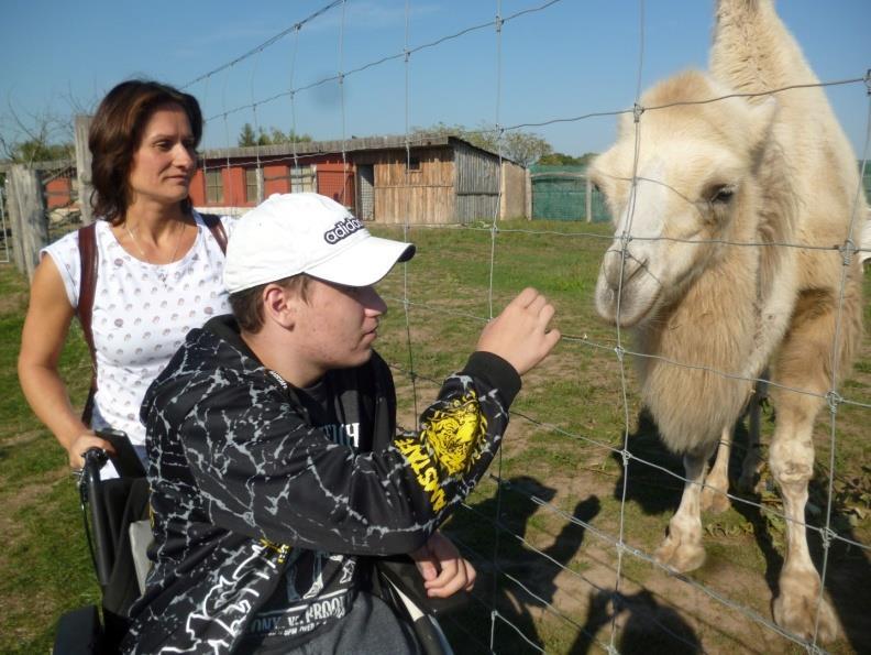 Majitelé Zooparku Stěžery se nám velmi pěkně věnují při našich návštěvách, navíc žáci s průkazkami ZTP mají při společných školních akcích vstup zdarma. Suché pečivo budeme i nadále sbírat ve třídě 3.