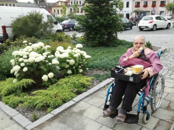 Nákupy ve městě To je dobře, že už jsme opět v tom našem domově a můžeme na