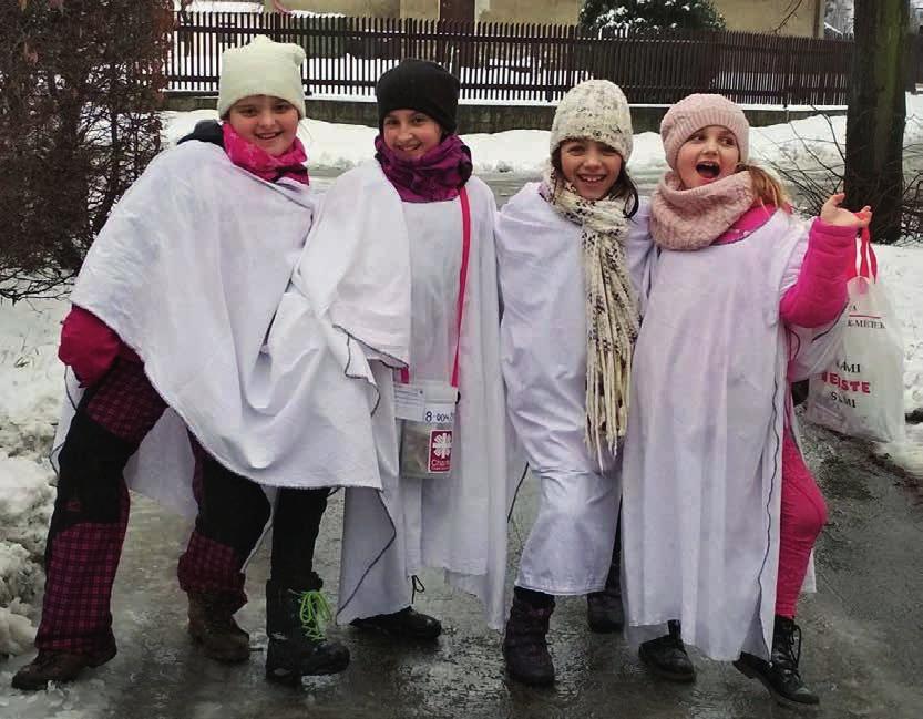 Dle organizačních pokynů v ostravsko-opavské diecézi předkládají jednotlivé charity své Záměry na využití výnosu sbírky.