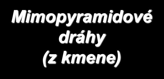 UMN Mimopyramidové dráhy (z